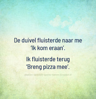 afbeeldingen met nederlandse quotes