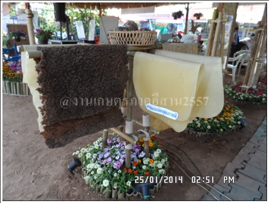 'งานเกษตรภาคอีสาน ขอนแก่น 2557