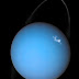 Auroras on Uranus