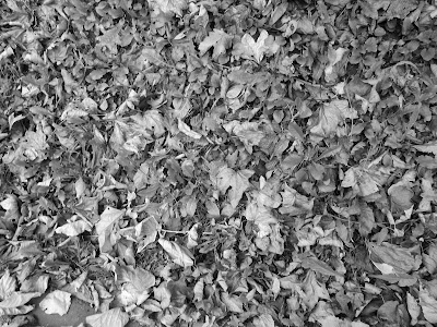 √完了しました！ かっこいい モノクロ 写真 白黒 画像 244296
