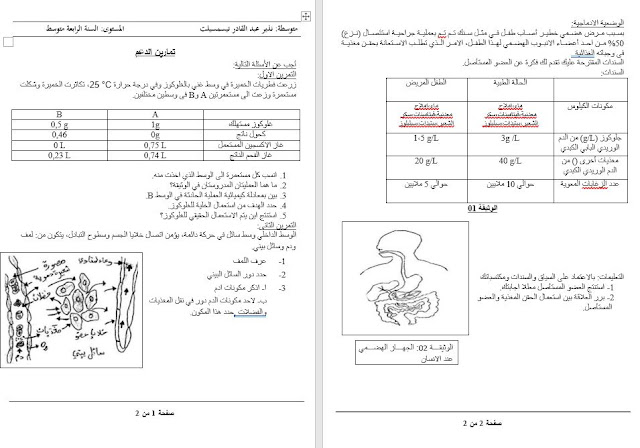 تمارين الدعم علوم طبيعية للسنة الرابعة متوسط الجيل الثاني WORD