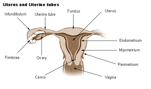 Our road to 2011 and beyond: #149 - sengugut @ period pain