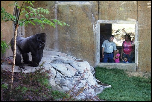 Zoo3-412_thumb