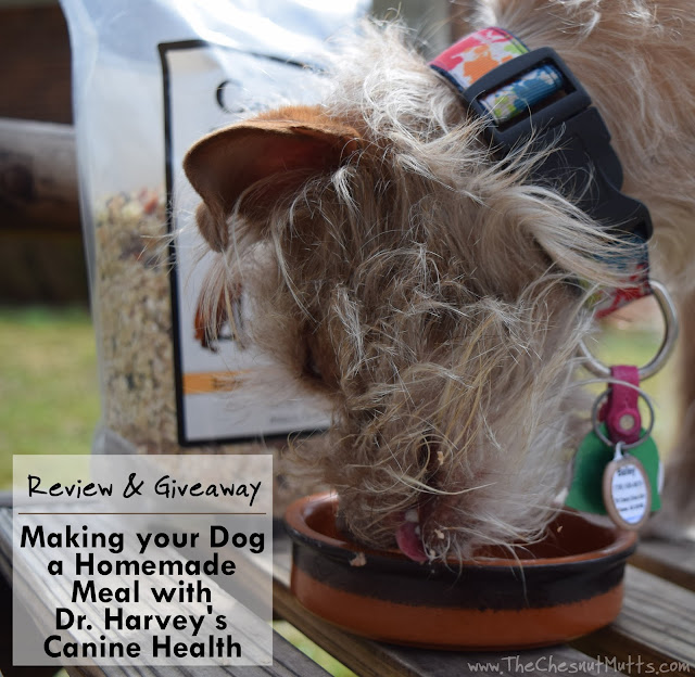 Review & Giveaway: Making your Dog a Homemade Meal with Dr. Harvey's Canine Health