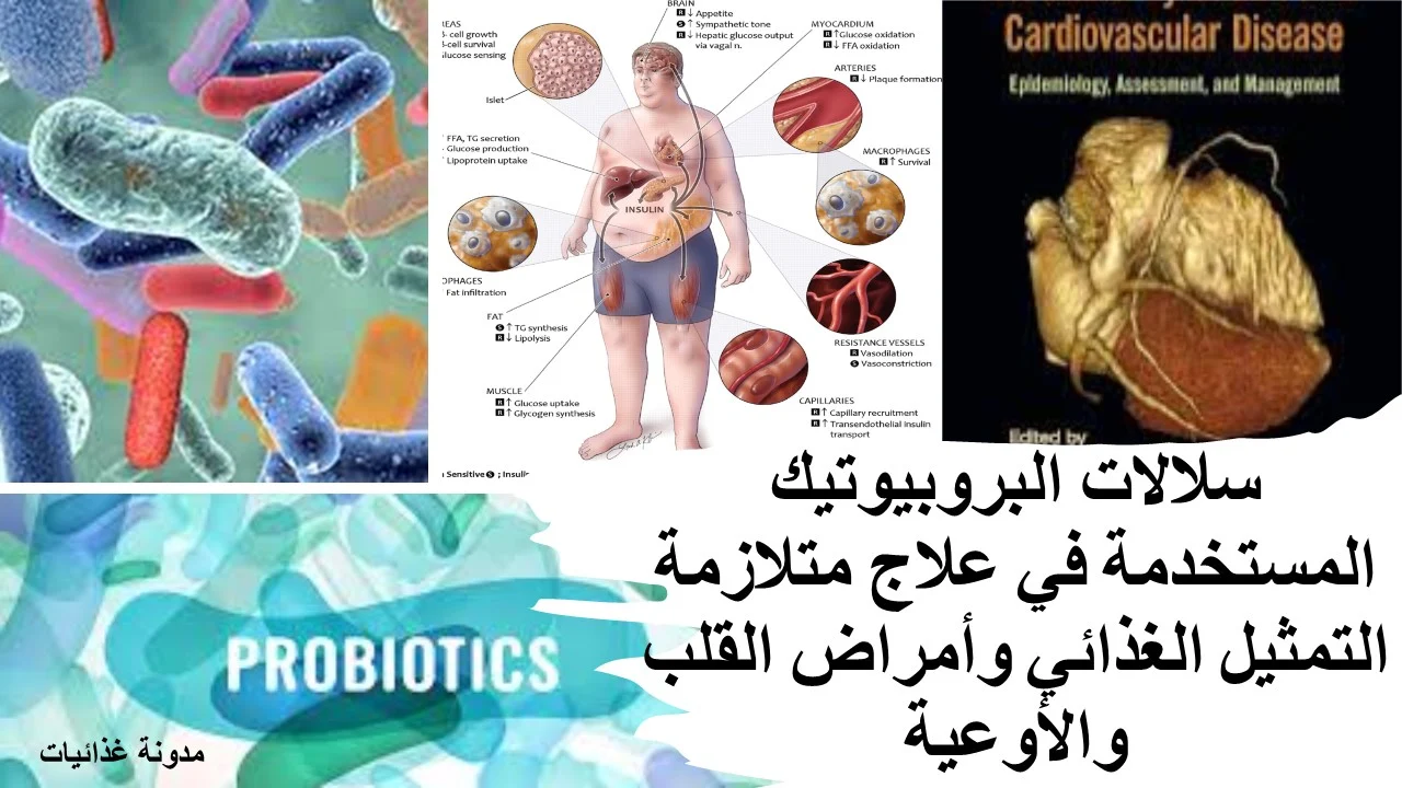 سلالات البروبيوتيك المستخدمة في علاج متلازمة التمثيل الغذائي وأمراض القلب والأوعية