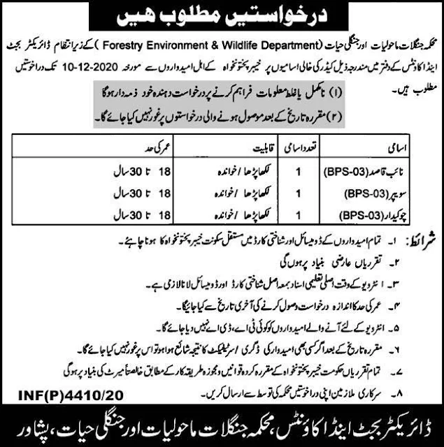 Kyber PakhtunKhwa Forest Environment & Wildlife Department Jobs 2020