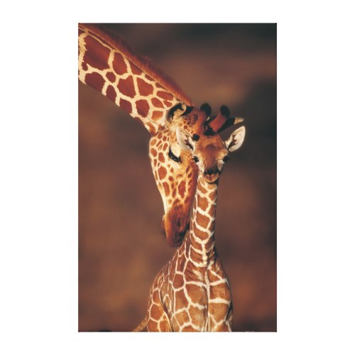 Mother Giraffe With Calf | Lovely Wildlife Photo Canvas
