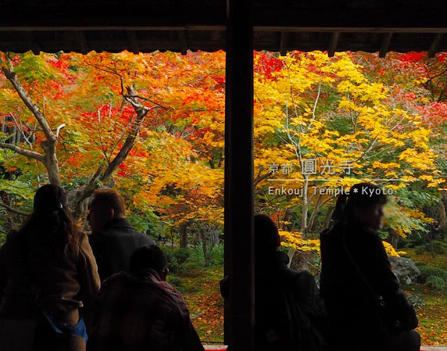 圓光寺の紅葉