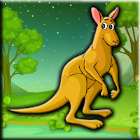 Lovely Red Kangaroo Rescu…