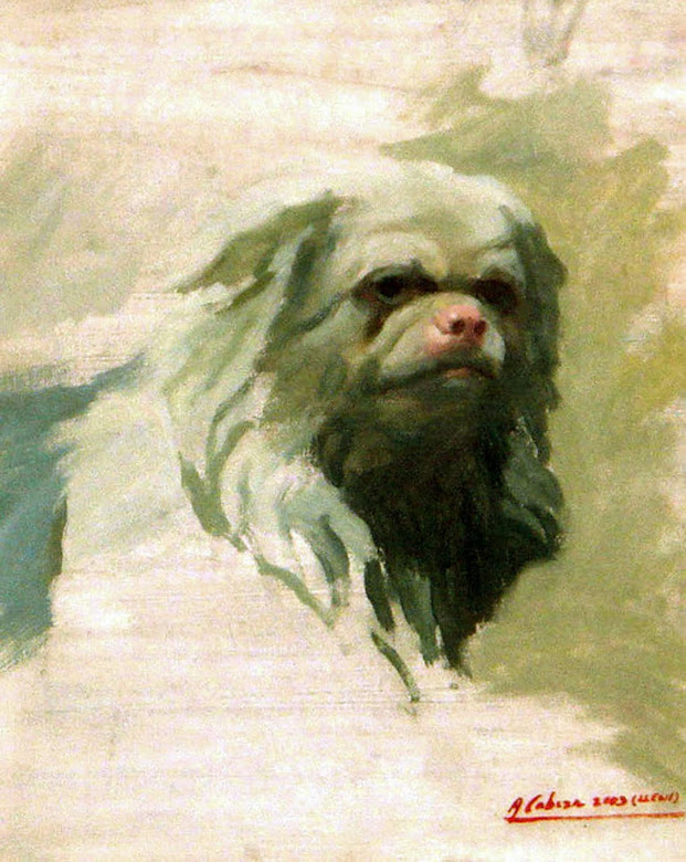 Alejandro Cabeza, Estudio de Perro, http://www.alejandrocabeza.net/2010/11/autorretrato-1993.html, Retrato de la perrita Lleni, Pintor Español, Retratos de Alejandro Cabeza, Pintores españoles, Retrato de Ángel Ganivet, Alejandro Cabeza Libros, Alejandro Cabeza Retratos, Alejandro Cabeza Paisajes, Alejandro Cabeza Biofrafía, Alejandro Cabeza Libros, Alejandro Cabeza Cuadros, Alejandro Cabeza Pinturas, Alejandro Cabeza Óleos, Retratista Alejandro Cabeza, Alejandro Cabeza Museos, Salomé Guadalupe Ingelmo, Angel Ganivet, Alex Alemany,