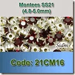 21CM16 copy