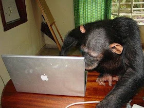 monyet main laptop