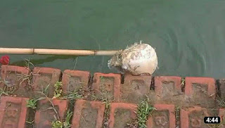 Tripura: Human head recovered from Matabari pond