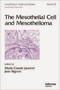 Mesothelioma The Mesothelial Cell and Mesothelioma (Lung Biology in Health and Disease)