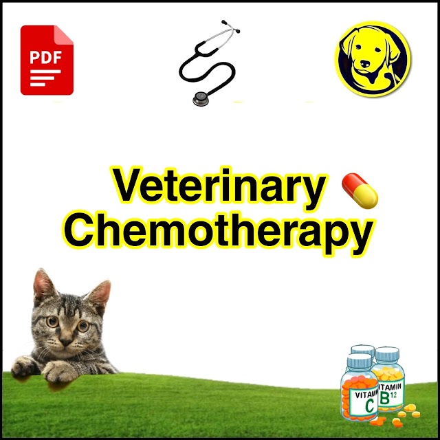Free Download Veterinary Chemotherapy Full Pdf