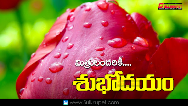 Best Telugu Good Morning Quotes Wishes Greetings Pictures