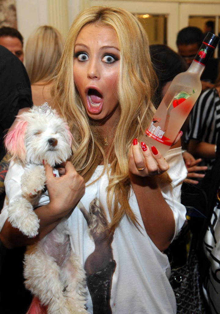 Aubrey O'Day Really Wants Danity Kane To Get Back Together