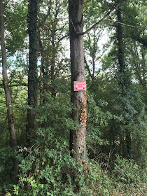 pancarte d'avertissement de présence de pièges de chasseur avant le bois
