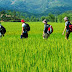 Highlight Vietnam Tour 13Days/12Nights