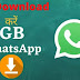 New GB Whatsapp Themes Download करके Whatsapp को Color full करें.