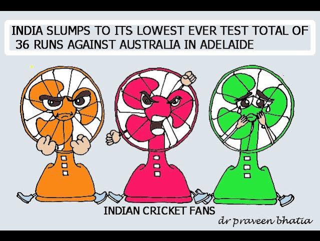 Cartoon Indian Cricket Fans