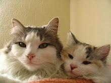 Mis hijas bigotonas