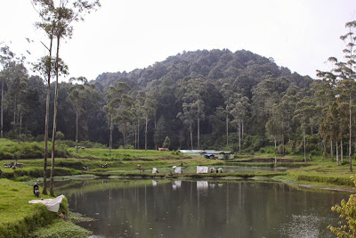 Bumi Perkemahan Ranca Upas Bandung