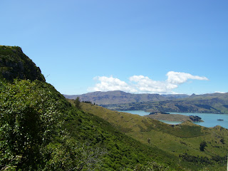 ニュージーランド画像