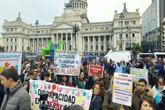 El Senado convirtió en ley la declaración de emergencia por discapacidad