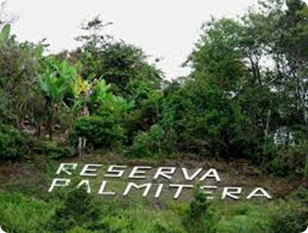 reserva-palmitera_thumb2