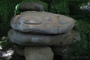 IMG_6597