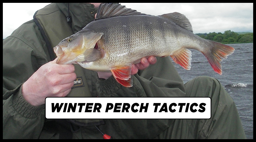 Winter Perch Tactics