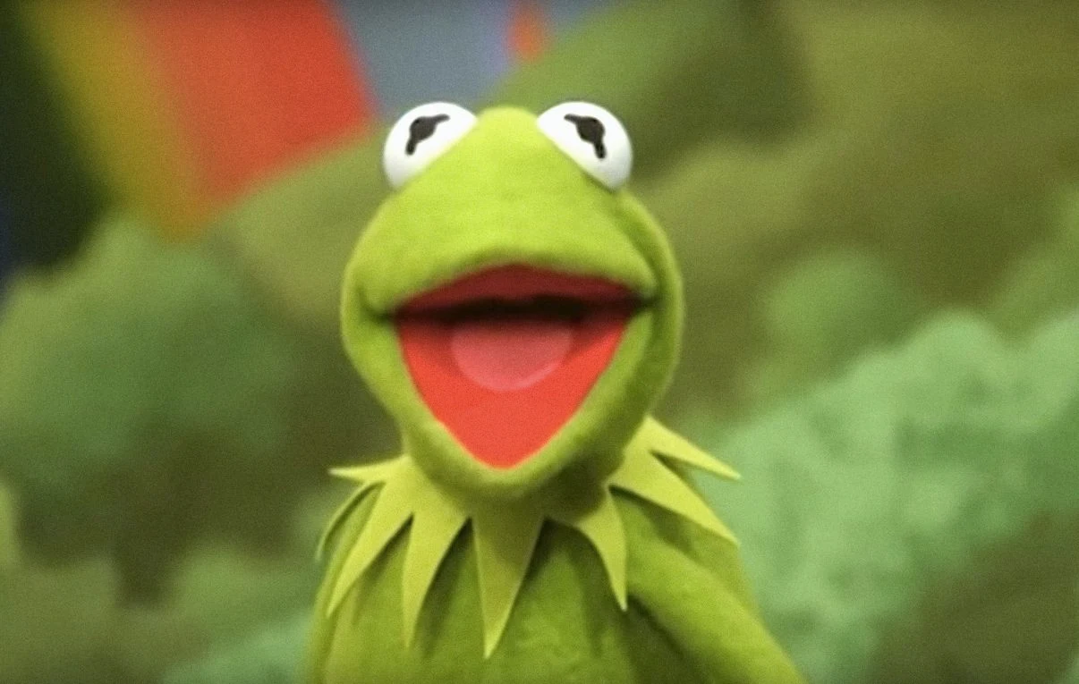 R. Kermit - Ignition | Kermit singt R.Kelly Song - MashUp 