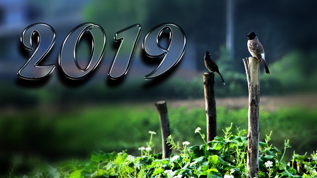 happy new year 2019 messages
