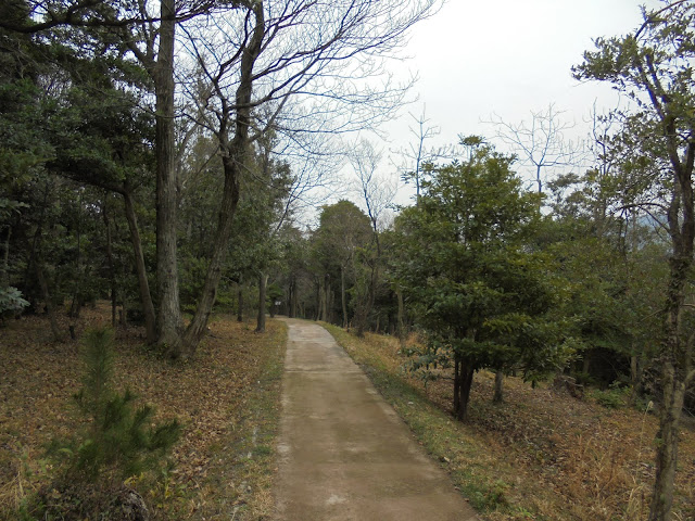 弥生の森の遊歩道