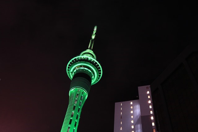IMG_1667 IMG_1667