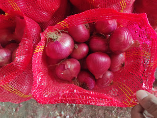 The Most Profitable Business in 2023 Importing Indian Red OnionsNashik Onions