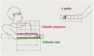 Proporción, módulo e canon