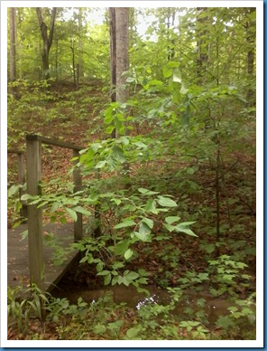Photo0064