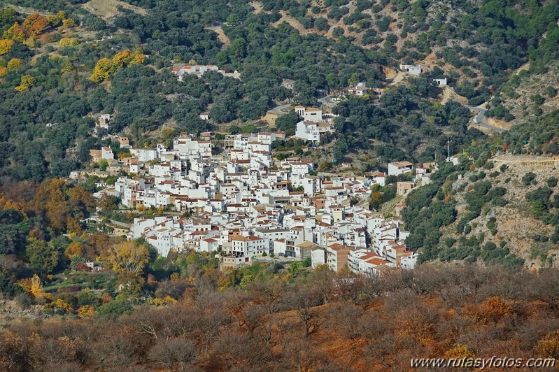 Ruta otoñal por los castañares de Pujerra e Igualeja