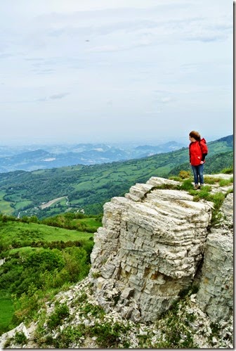 picDSC_2001