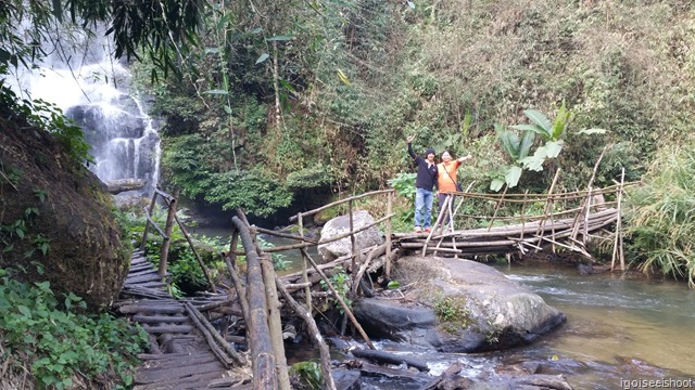 Soft treking trail at Doi Inthanon  National Park, Chiangmai