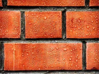 Bricks can be a highlight of an interior