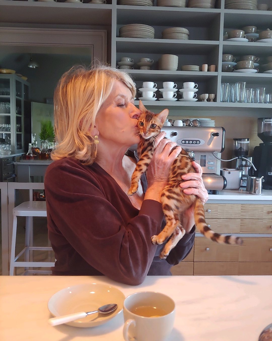 Martha Stewart and one of her adorable cats