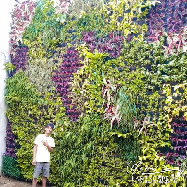 Jasa Vertical Garden Pasangkayu Jasa Vertical Garden Pasangkayu