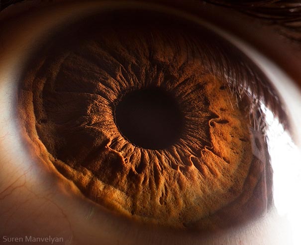 eye-macro-photo-12