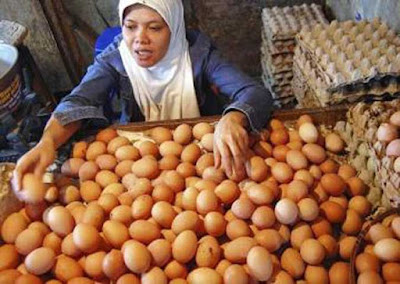 Ambon, Malukupost.com - Harga telur ayam ras yang didatangkan dari Surabaya oleh sejumlah agen pemasok di Kota Ambon mulai menurunkan harga jual kepada para pedagang eceran. "Harga telur ayam ras di Surabaya mulai turun, jadi kita juga turunkan harga kepada para pedagang eceran di pasar tradisional Kota Ambon dari Rp330.000/ikat (180 butir) menjadi Rp310 ribu sampai Rp315 ribu," kata Inang, agen pemasok yang berlokasi di kawasan pertokoan pasar Mardika, Kamis (26/7).