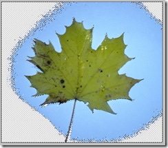 aaa2