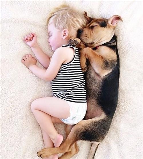 Đầu năm con chó, con mèo đến nhà đem lại điềm lành hay điềm gở? - Ảnh 5.