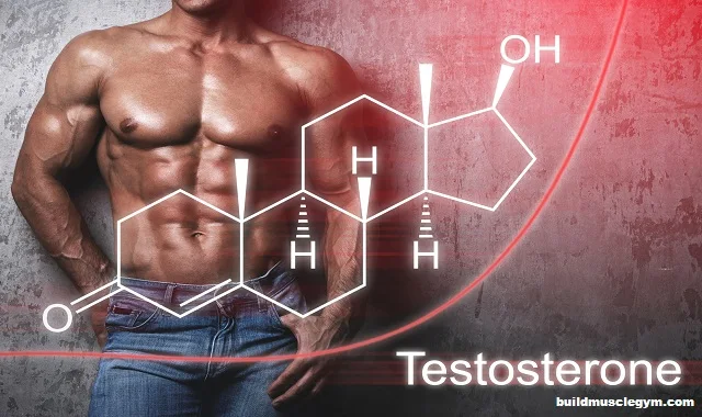 Get Your Low Testosterone Back To Normal